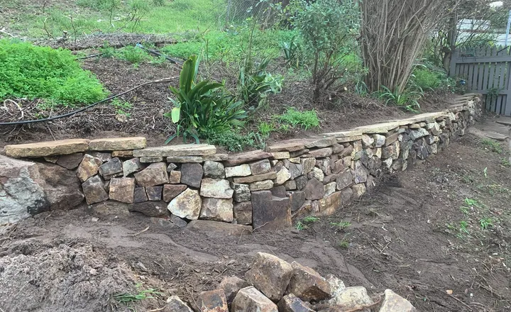 Hand-laid dry-stone retaining wall under construction around a garden bed