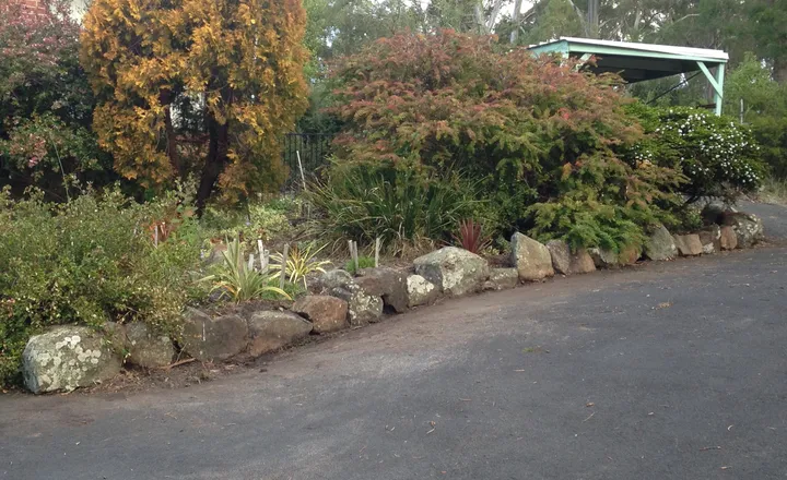 Neatly maintained mature garden with rock edging beside a driveway