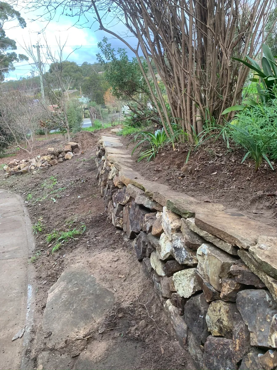 Stone-edged garden path winding through established plantings