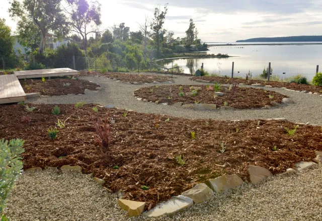 Circular native garden beds with fresh mulch and gravel paths on a waterfront block in Tasmania
